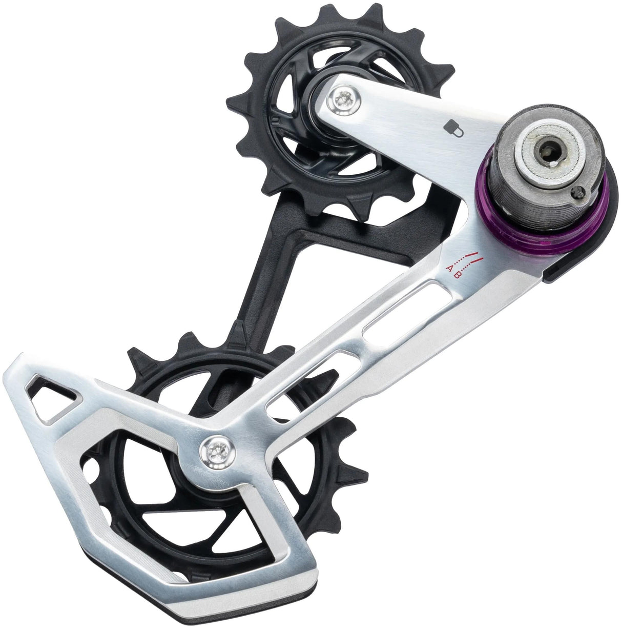 Sram käfig xx eagle cage kit axs