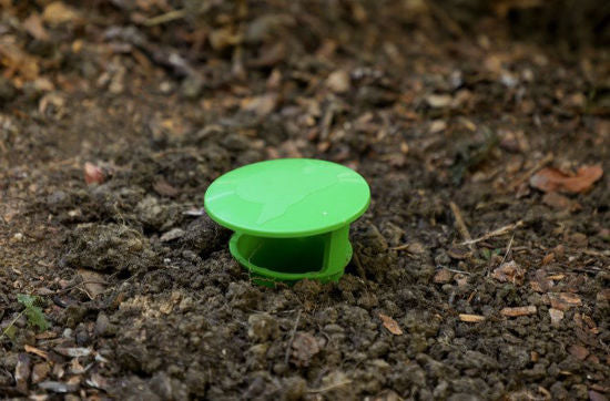 Slakkenval snailbowl 15cm
