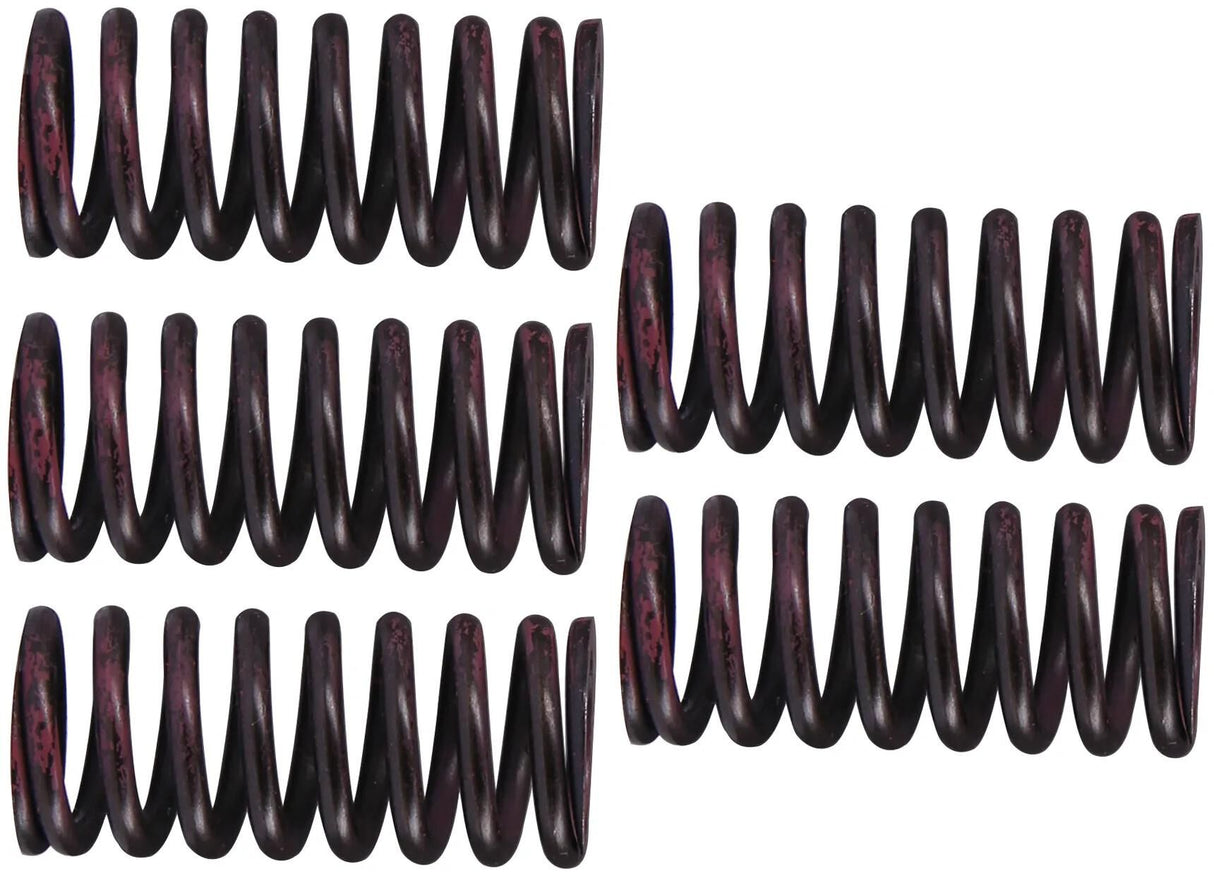 Trw koppelingsveer set mef3 clutch spring kit mef316-5