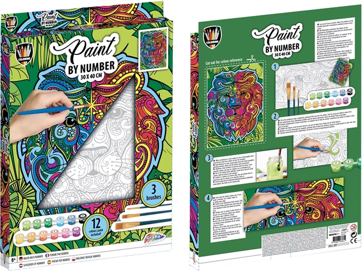 Grafix schilderen op nummer canvas - leeuw
