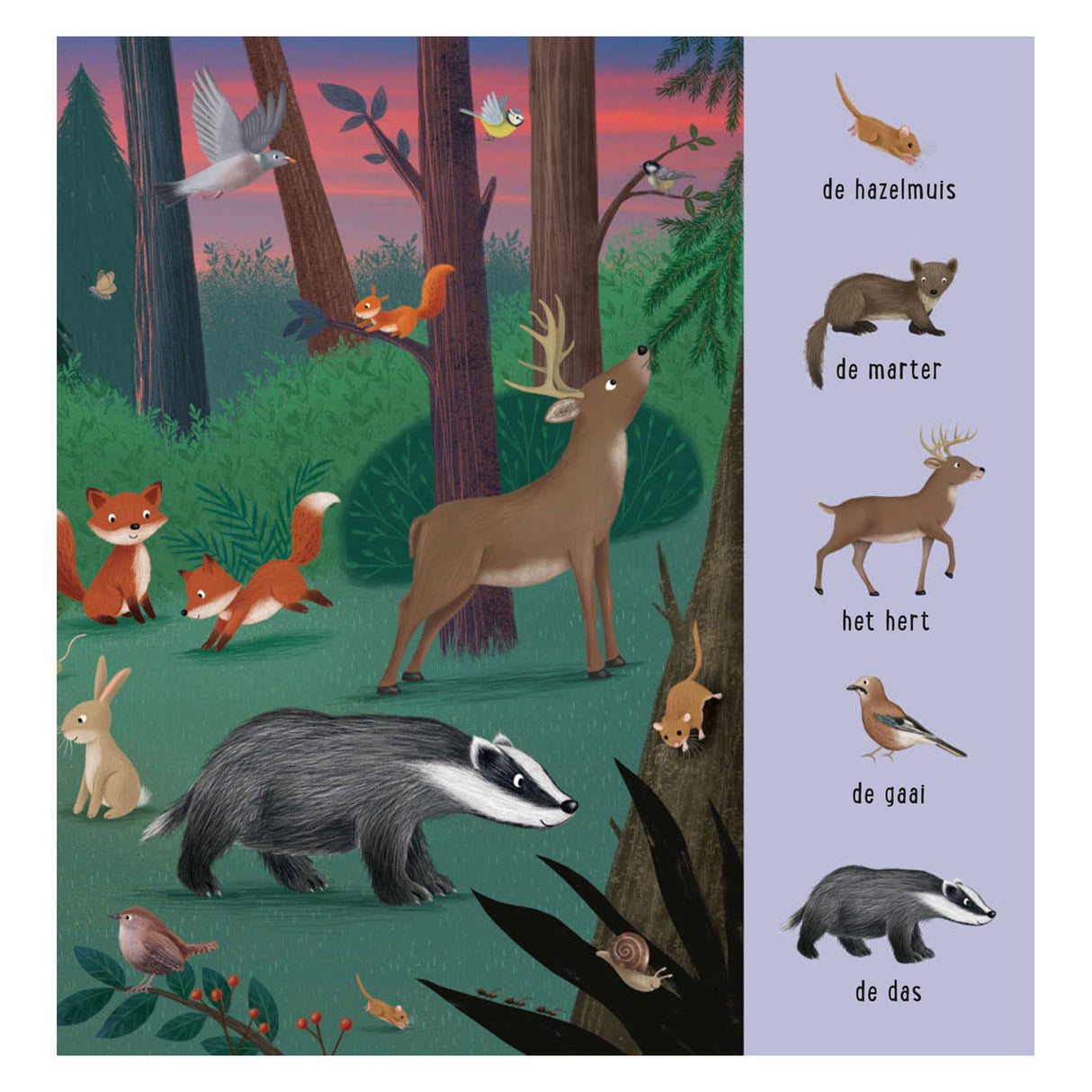 Deltas mijn eerste zoekboek - dieren uit de hele wereld