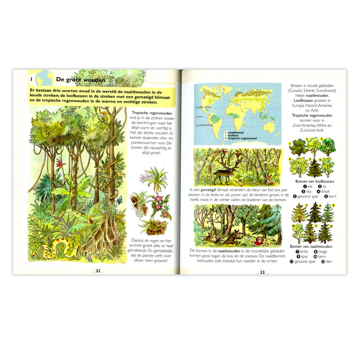 Deltas eerste grote atlas voor kinderen