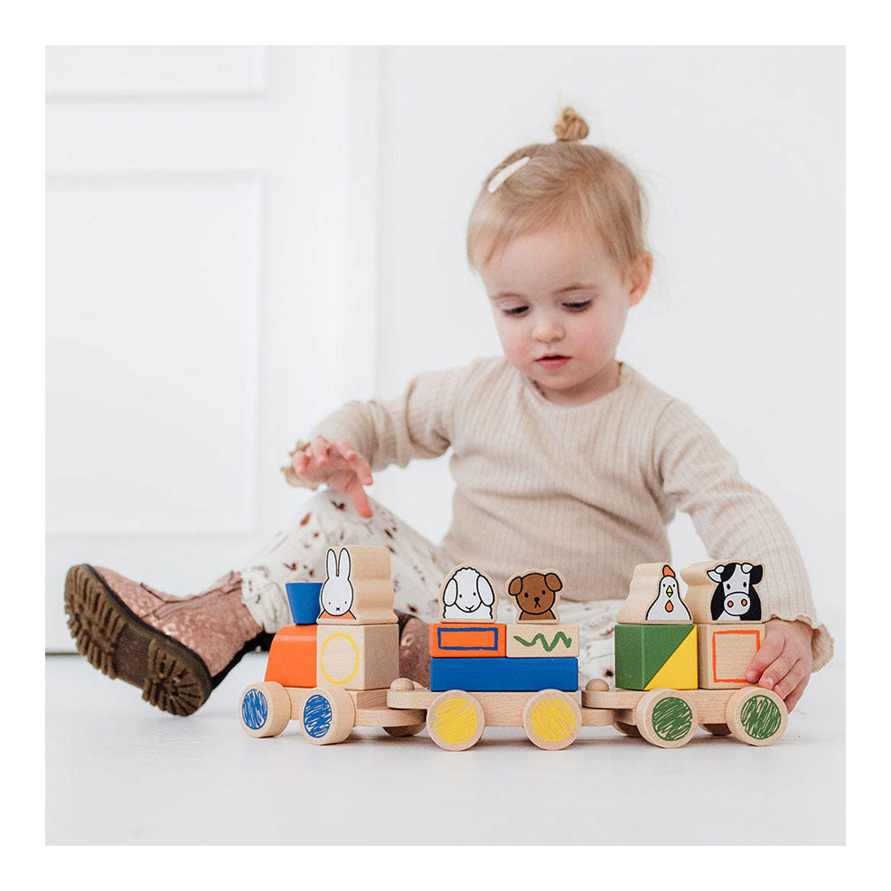 Bambolino toys nijntje houten blokkentrein. 3+