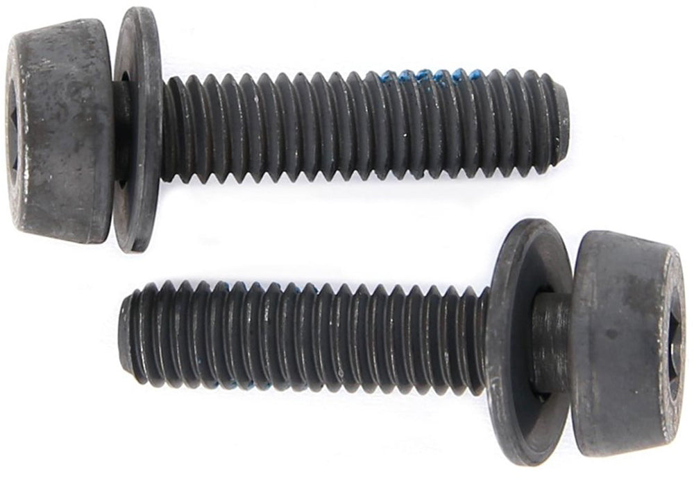 Campagnolo mounting bolts for disc brakes (pack of 2) | 19 mm