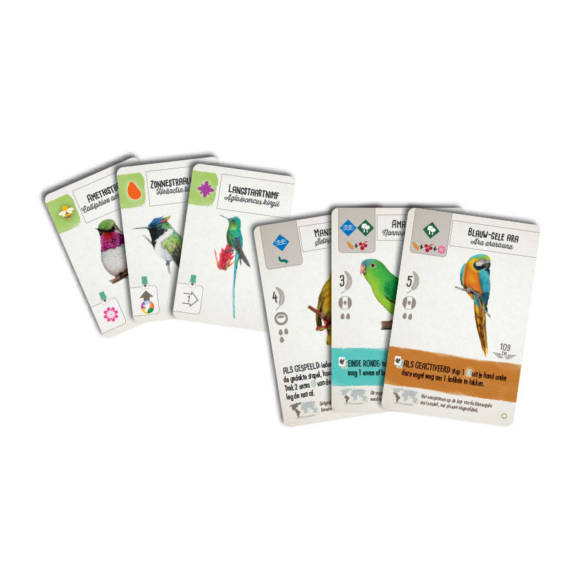 999games 999 games wingspan: midden- en zuid-amerika bordspel (uitbreiding, nederlands, 1 - 5 spelers, 40 - 70 minuten, vanaf 10 jaar)
