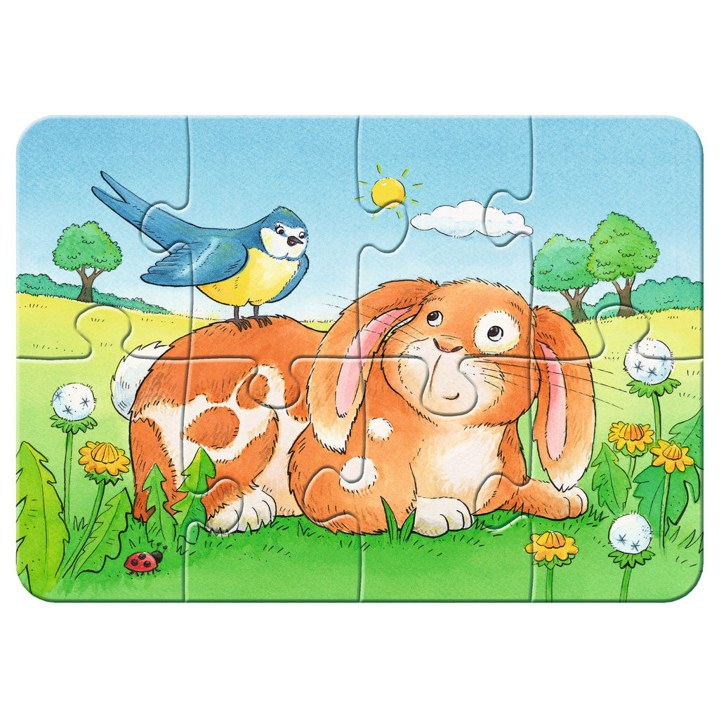 Ravensburger schattige huisdieren- my first puzzels -2+4+6+8 stukjes - kinderpuzzel