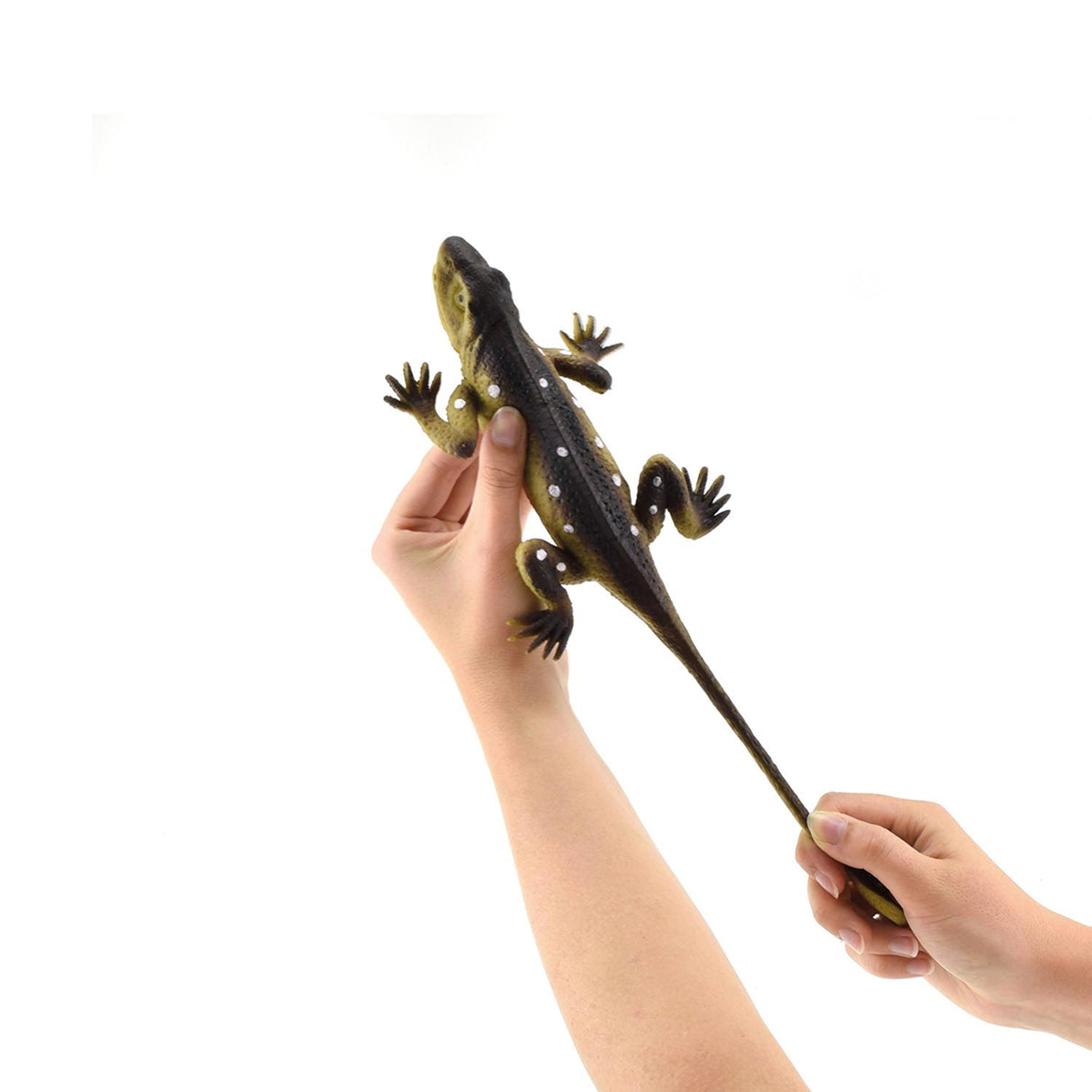 Toi-toys reptiel levensecht op kaart