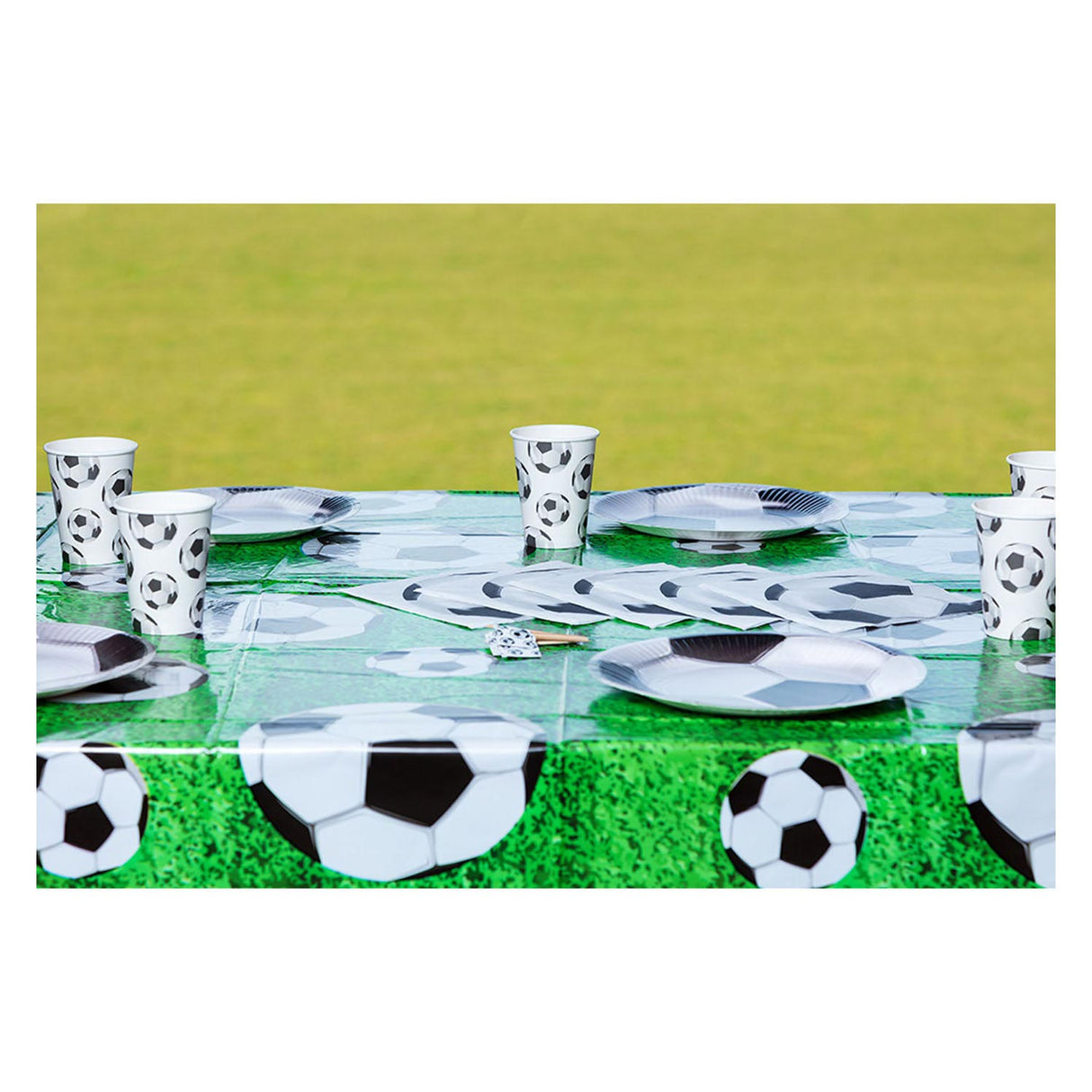Boland papieren bordjes voetbal set a 10 stuks ø23cm