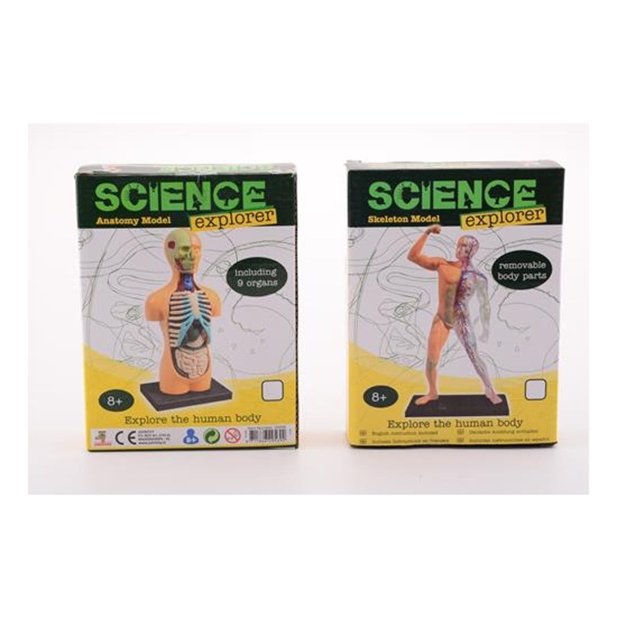 Johntoy science explorer ontdek het lichaam