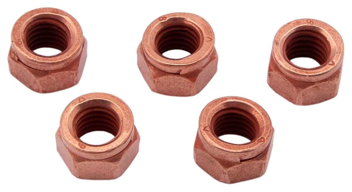 Dresselhaus gleufmoer thermag slotted nuts 6-point m8x12 5 pcs.