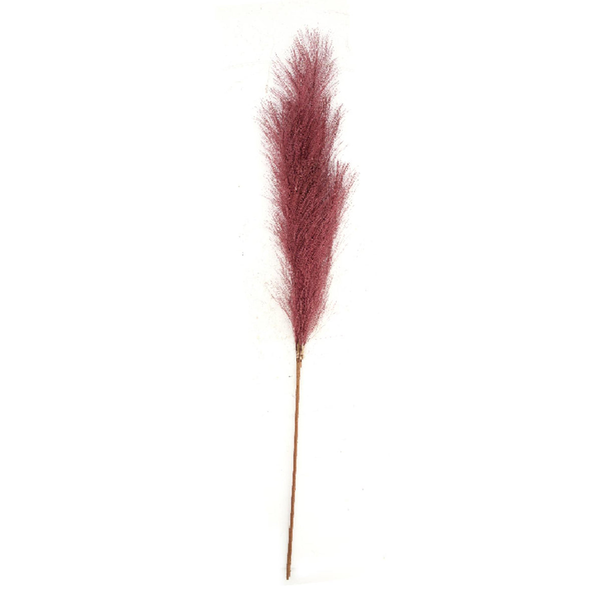 Dijk natural collections pluim kunsttak 77x8x3cm terra
