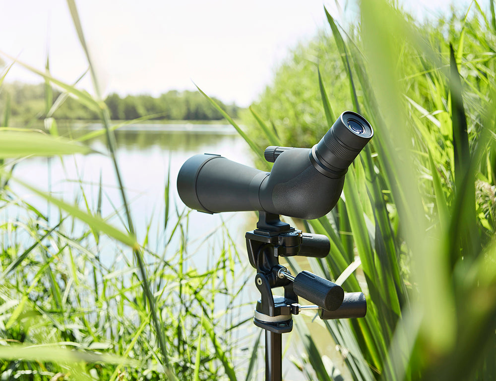 Noblex spotting scope ns 20-60x80 ed inception