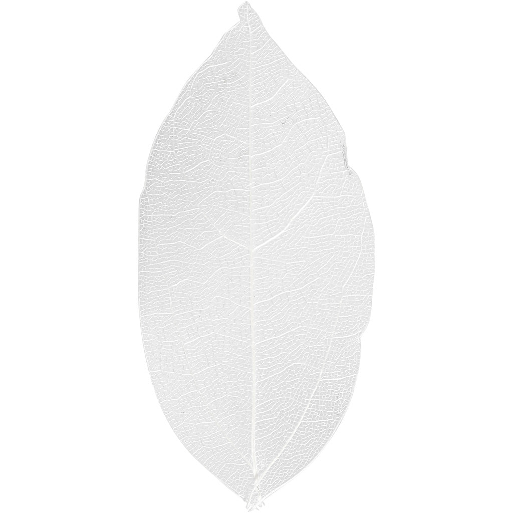 Http: www.cchobby.nl skeleton-leaves-l-6-8-cm-wit-20-stuk-1-doos