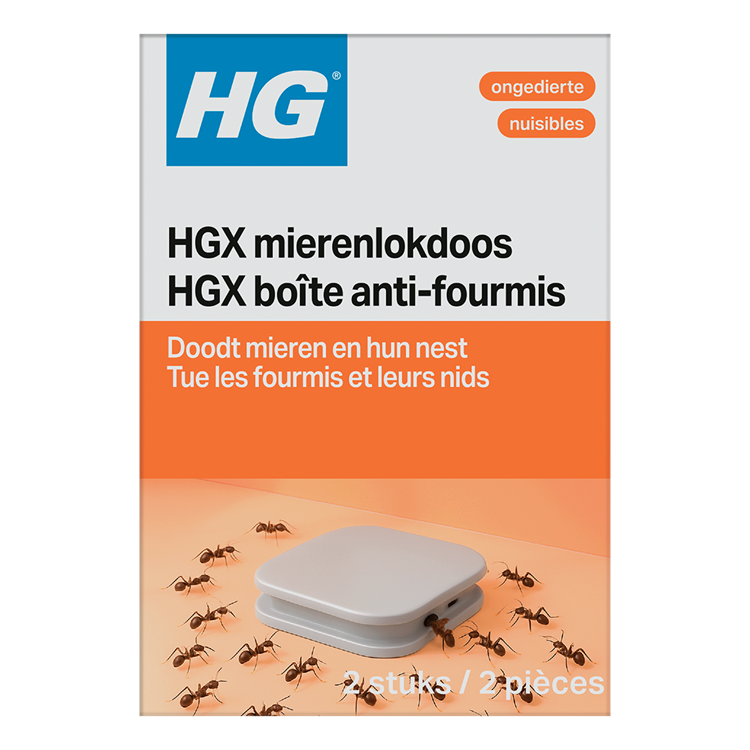 Hg x mierenlokdoos binnen