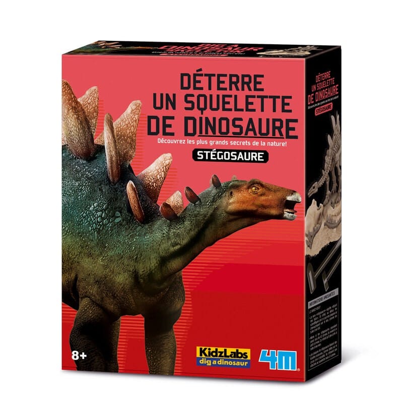 4m graaf je dino op - stegosaurus - opgraafkit en modelbouw skelet - kidzlabs - 8+