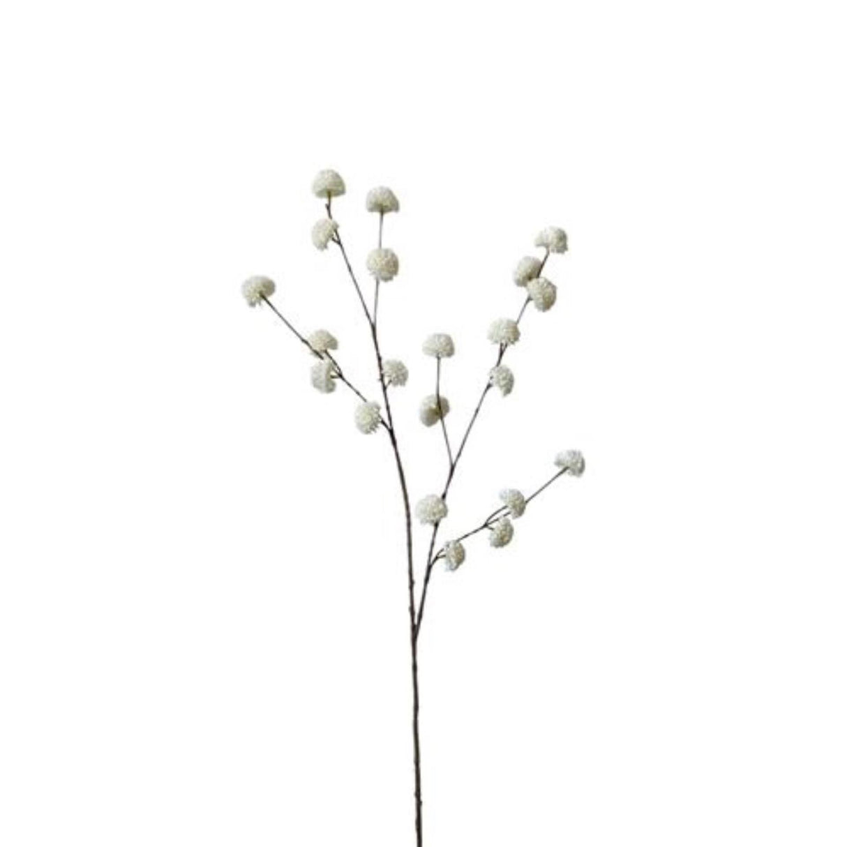 Roberts collection kunsttak pompom wit 100cm kunsttak pompom wit 100cm
