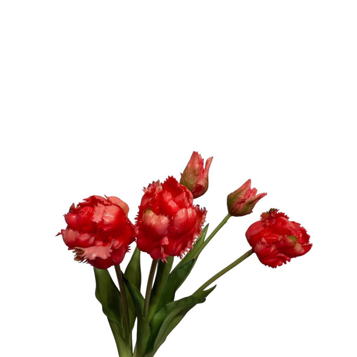 Roberts collection kunstboeket tulpen parrot cerise bundel met 5 tulpen