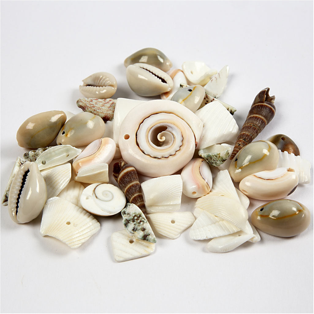 Http: www.cchobby.nl strand-schelpen-kralen-afm-9-40-mm-gatgrootte-1-1-5-mm-120-gr-1-doos