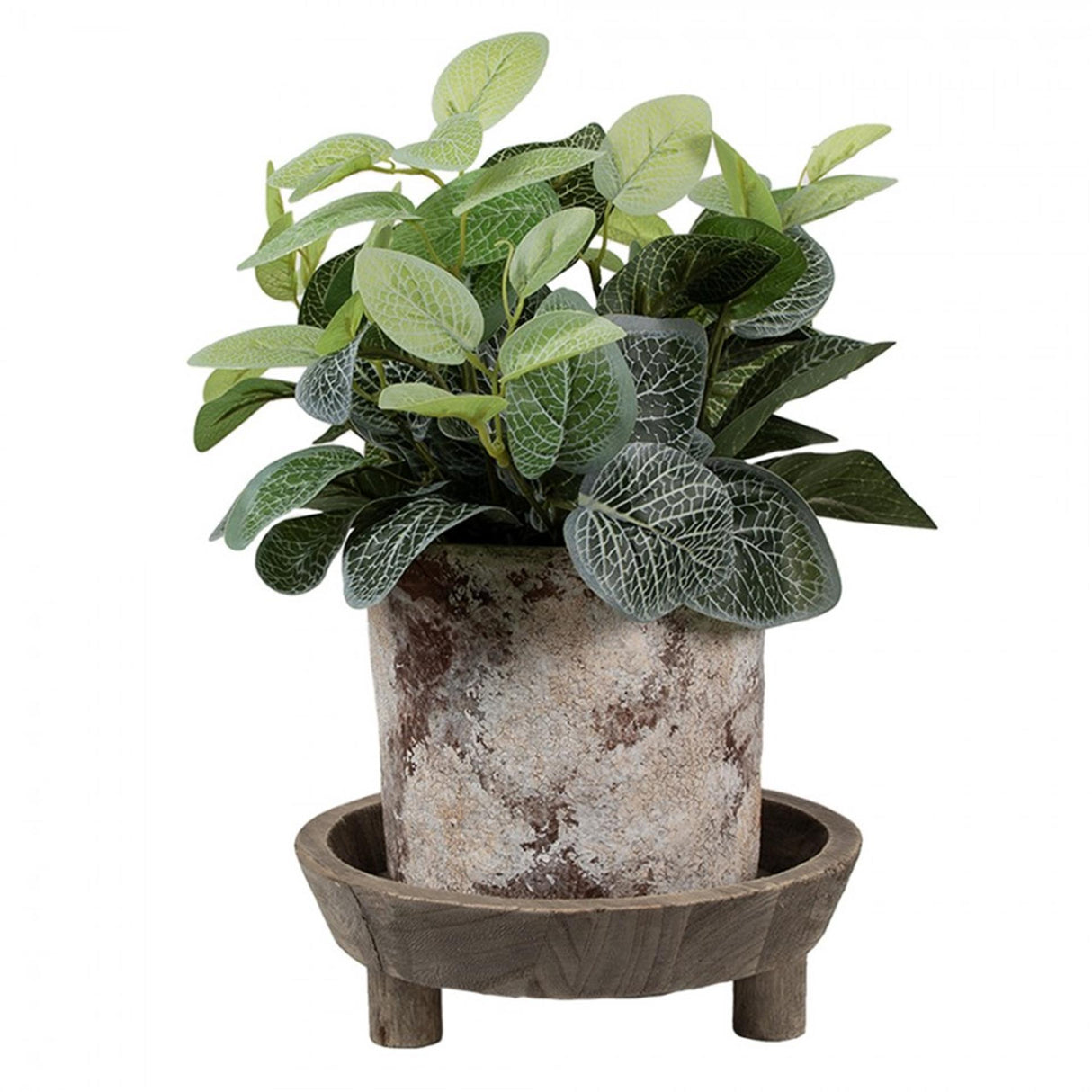 Clayre eef decoratie schaal ø22x7cm