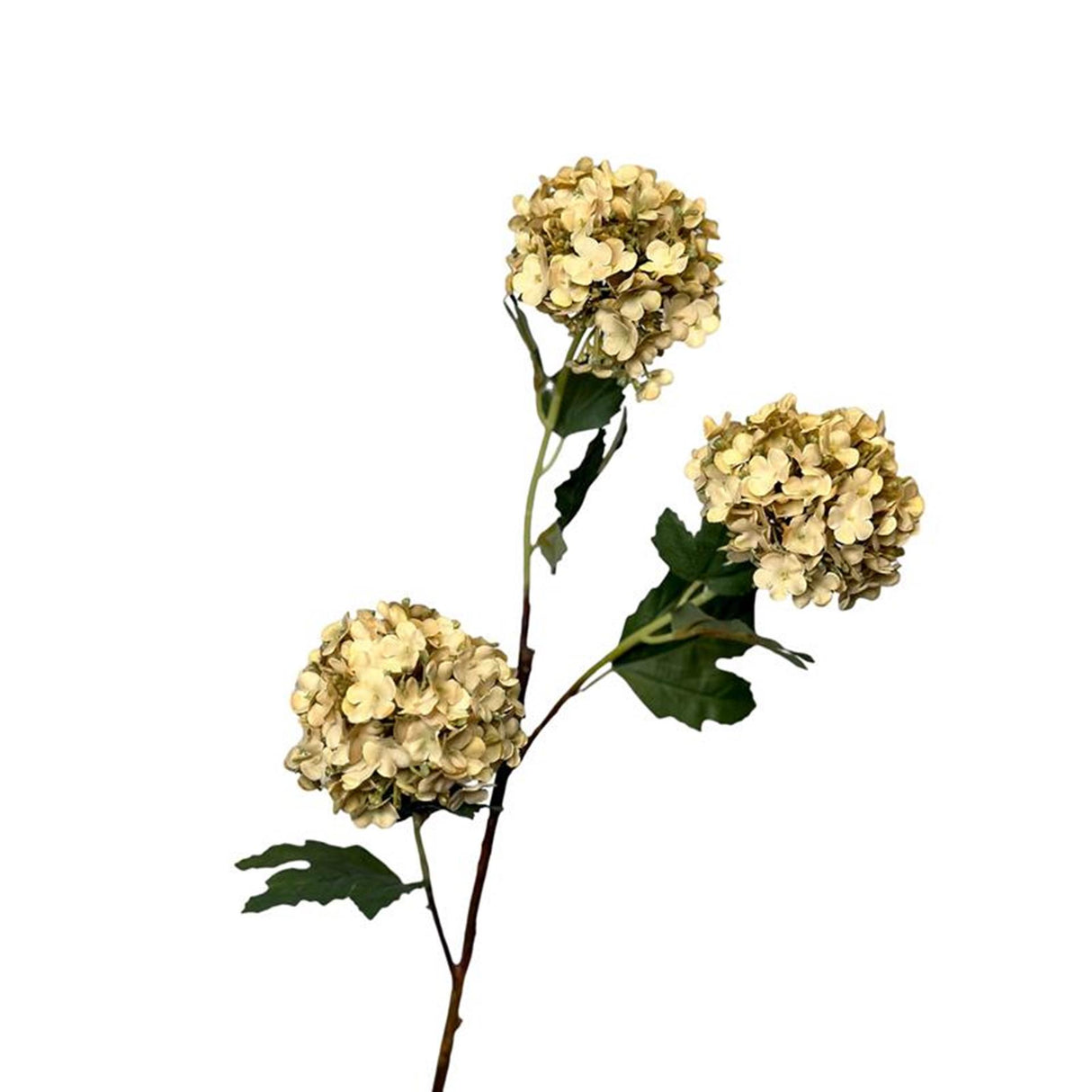 Roberts collection kunstbloem snowball tak 90cm creme