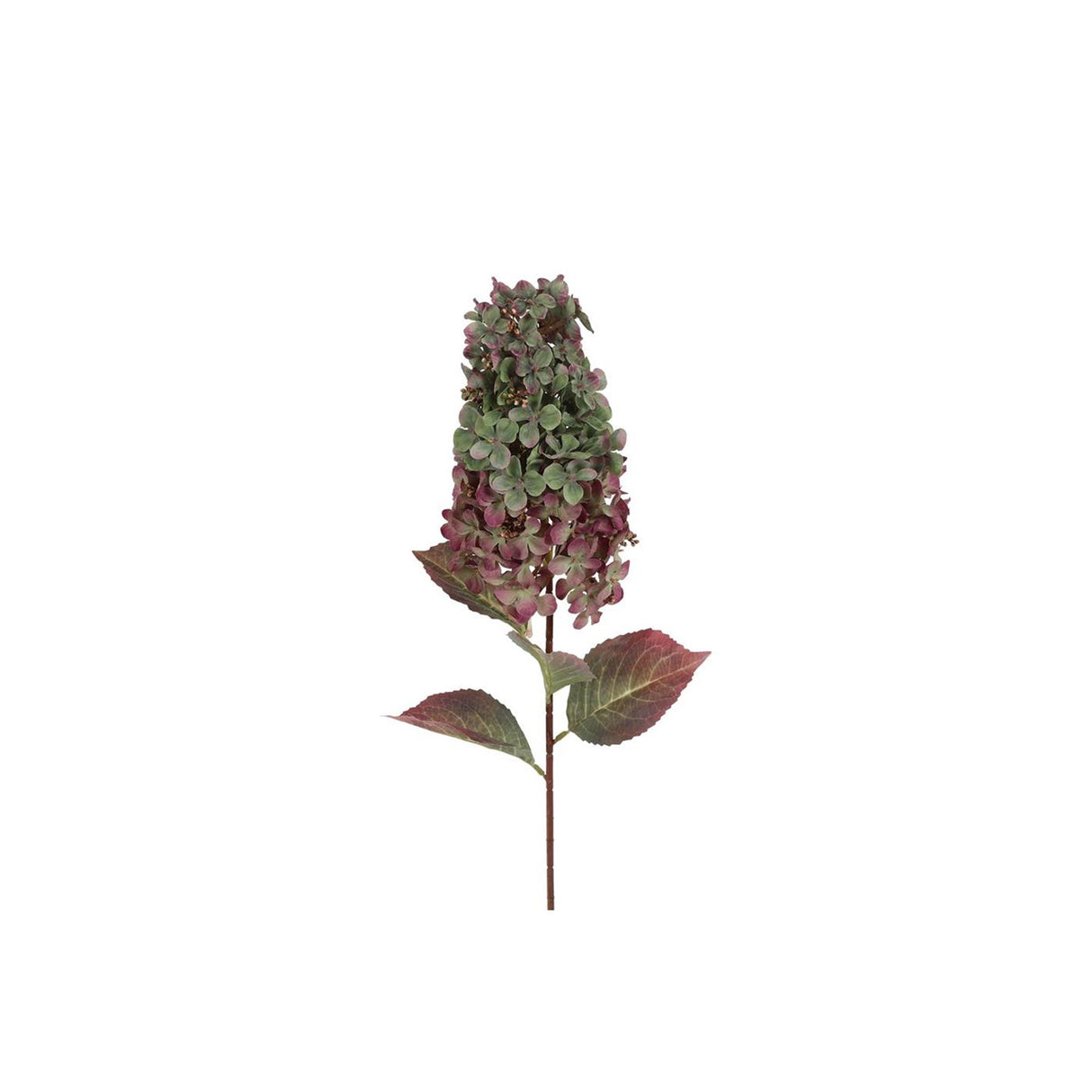 Countryfield kunstbloem aletta paniculata hydrangea groen 14x23x83cm