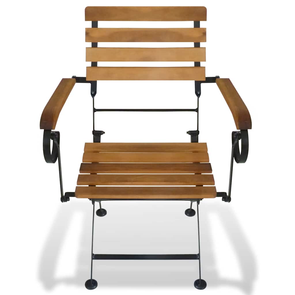 Vidaxl tuinstoelen inklapbaar 2 st staal en massief acaciahout
