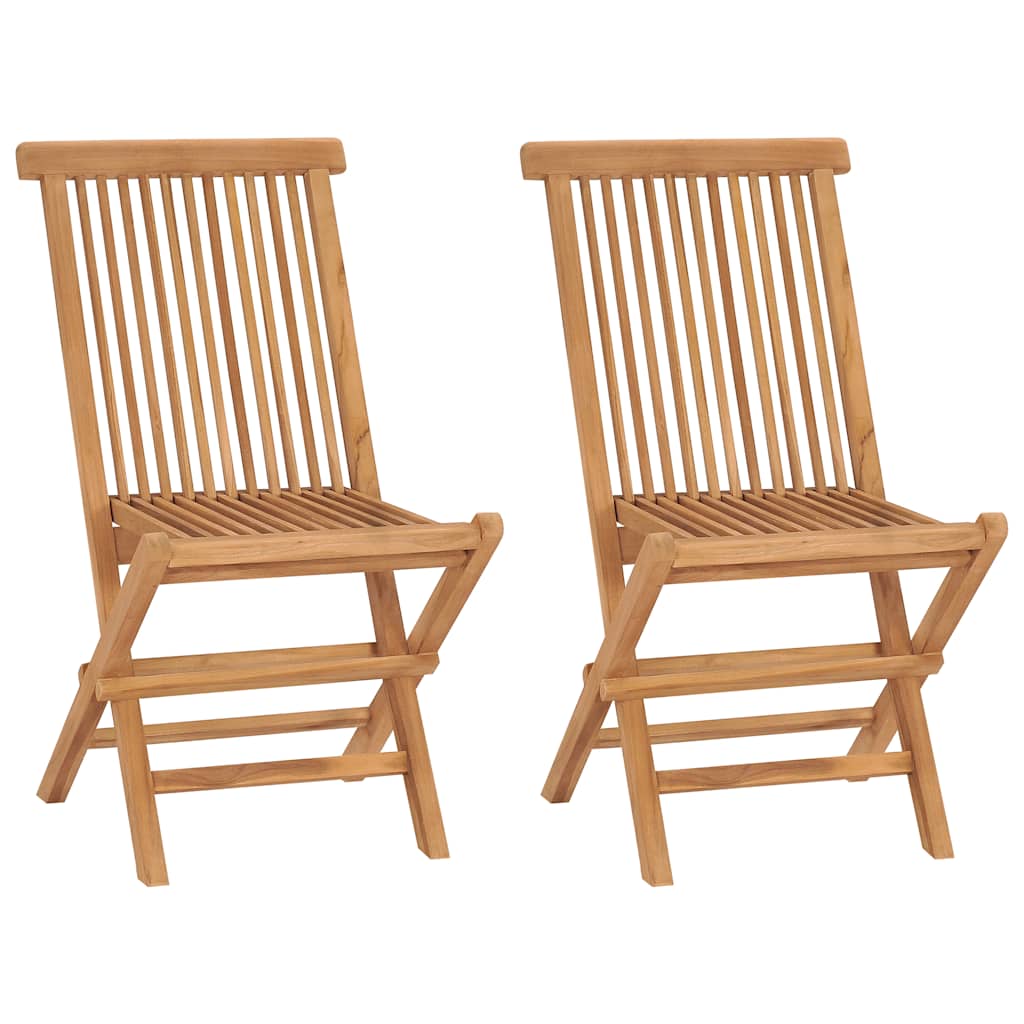 Vidaxl tuinstoelen inklapbaar 2 st massief teakhout