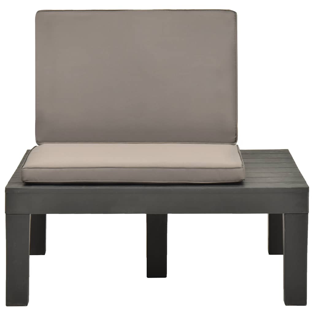 Vidaxl loungestoelen 2 st met kussens kunststof antraciet