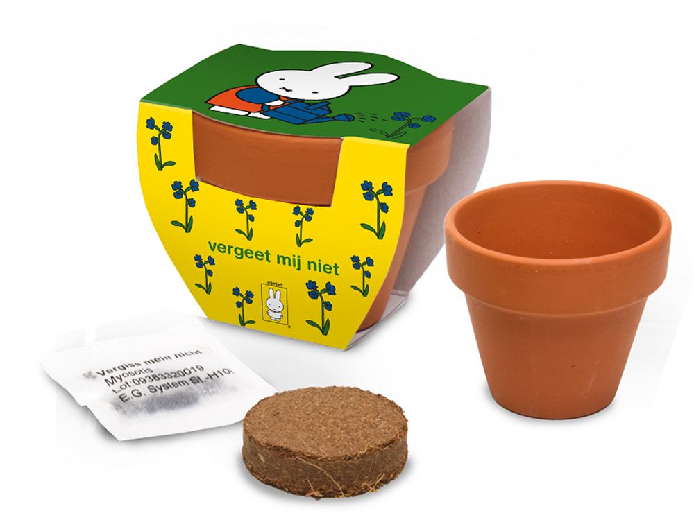 Nijntje terracota pot vergeet mij niet.