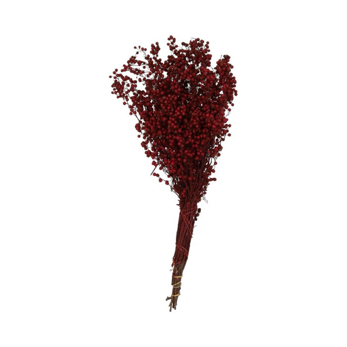 Hbx natural living gedroogde pepperberries wijn red