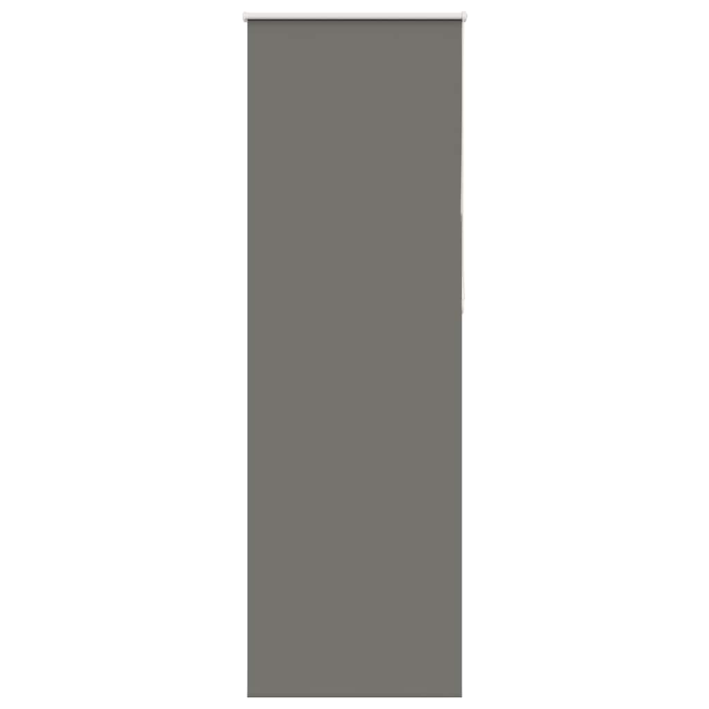 Vidaxl rolgordijn verduisterend 65x210cm stofbreedte 60,7 cm polyester