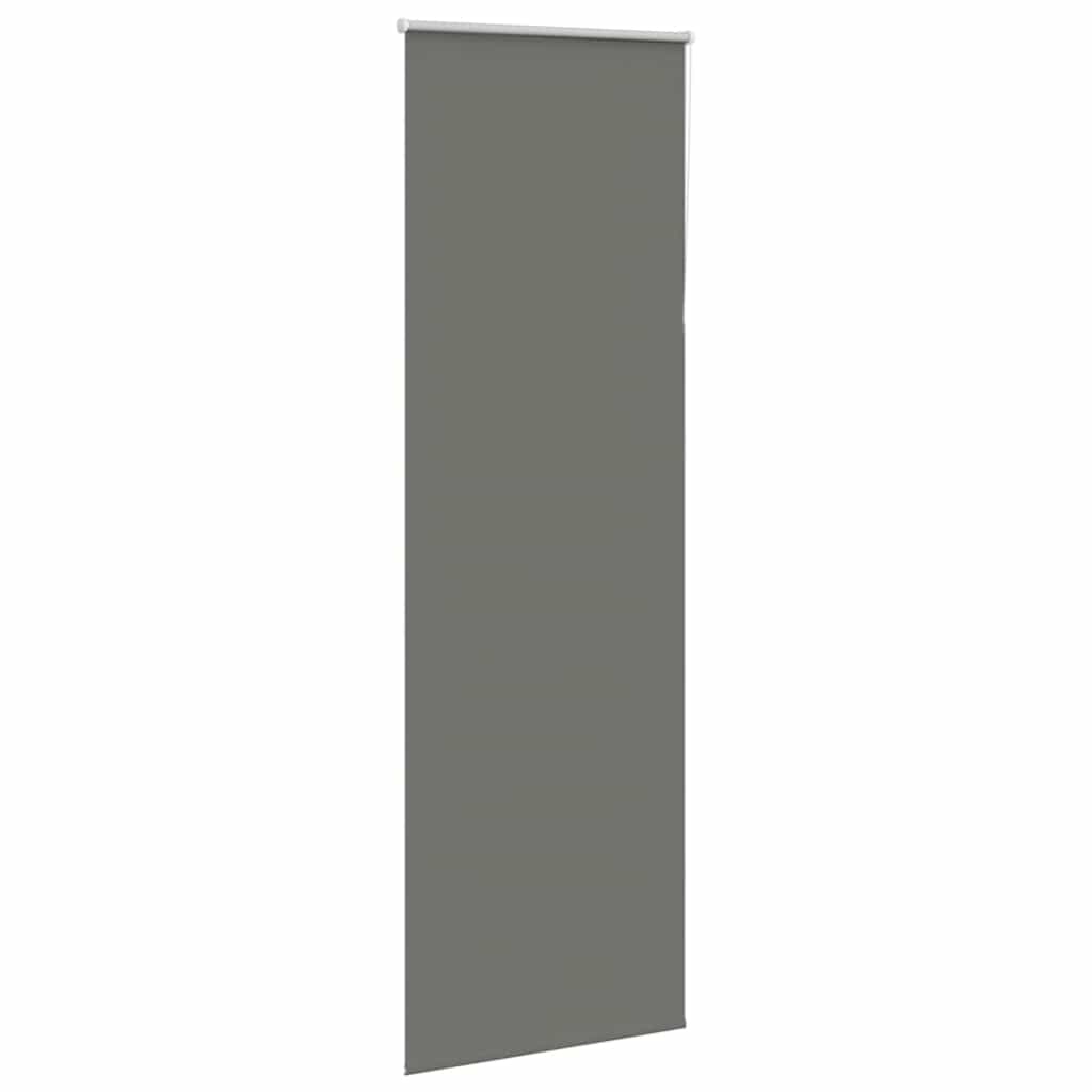 Vidaxl rolgordijn verduisterend 65x210cm stofbreedte 60,7 cm polyester