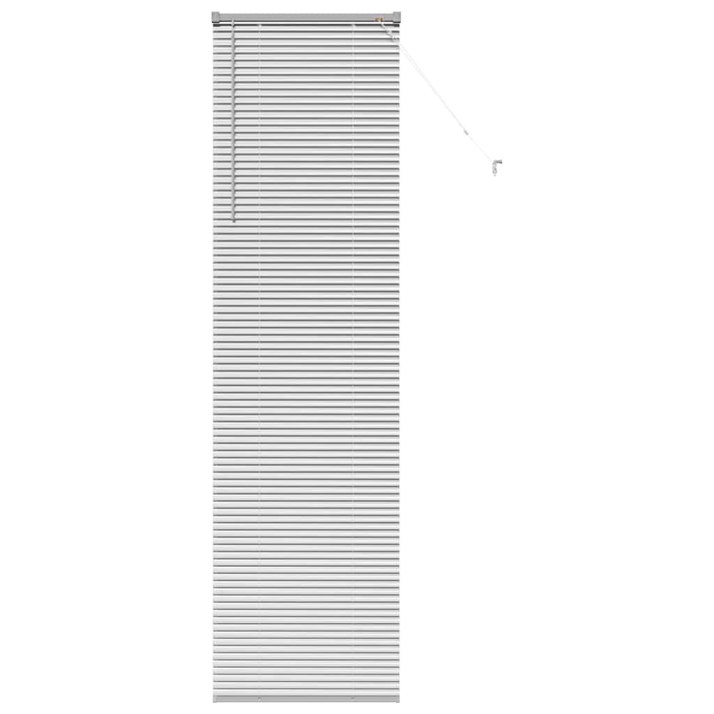 Vidaxl venetiaanse jaloezieën zilver 220 x 55 cm aluminium