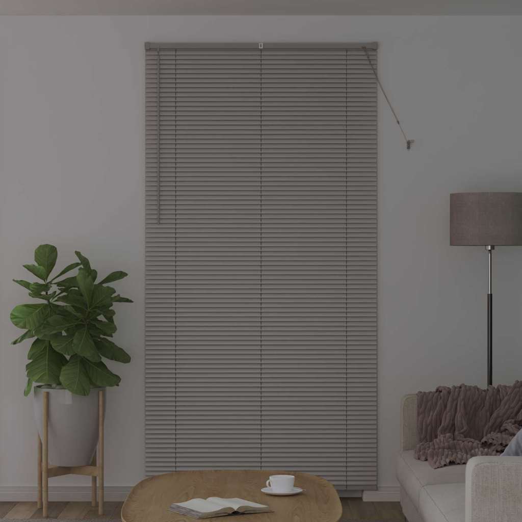 Vidaxl venetiaanse jaloezieën zilver 220 x 115 cm aluminium