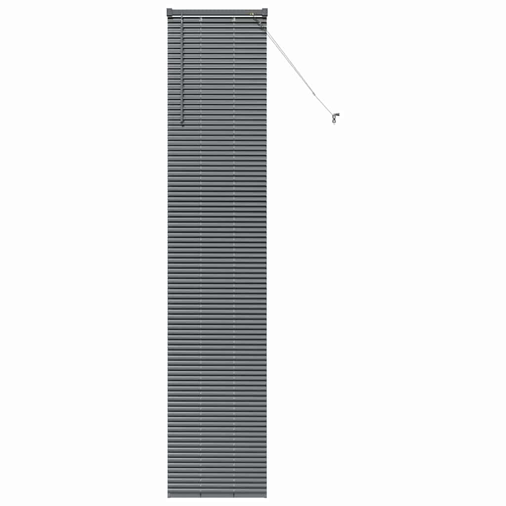 Vidaxl venetiaanse jaloezieën donkergrijs 220 x 45 cm aluminium