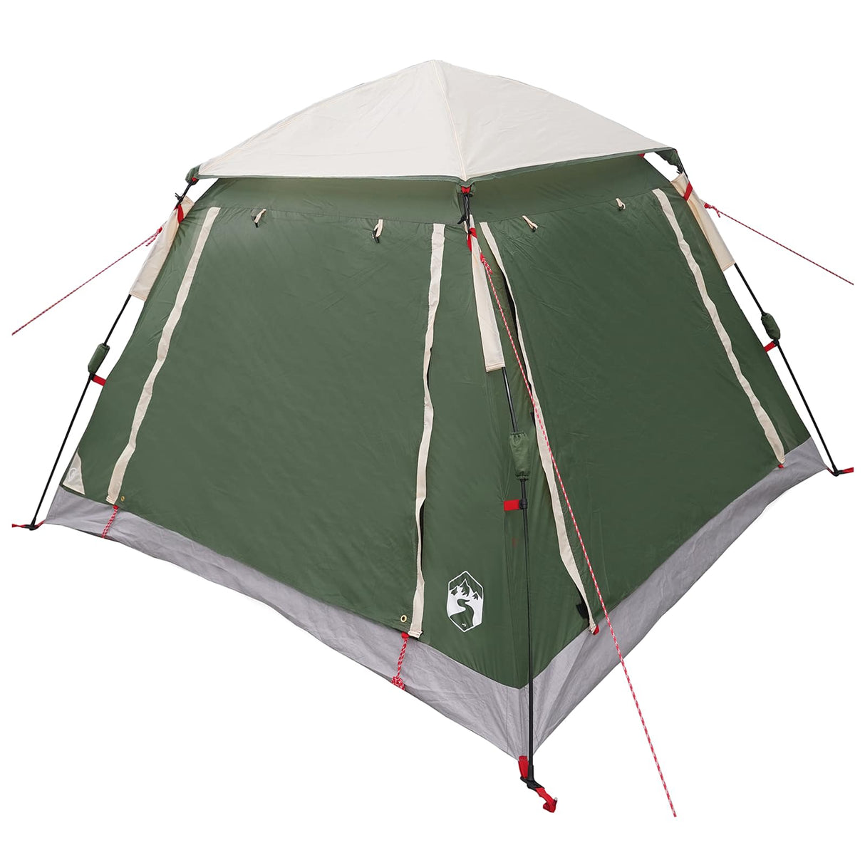 Vidaxl instant tent met regenfly voor 3 personen met snelle bevrijding