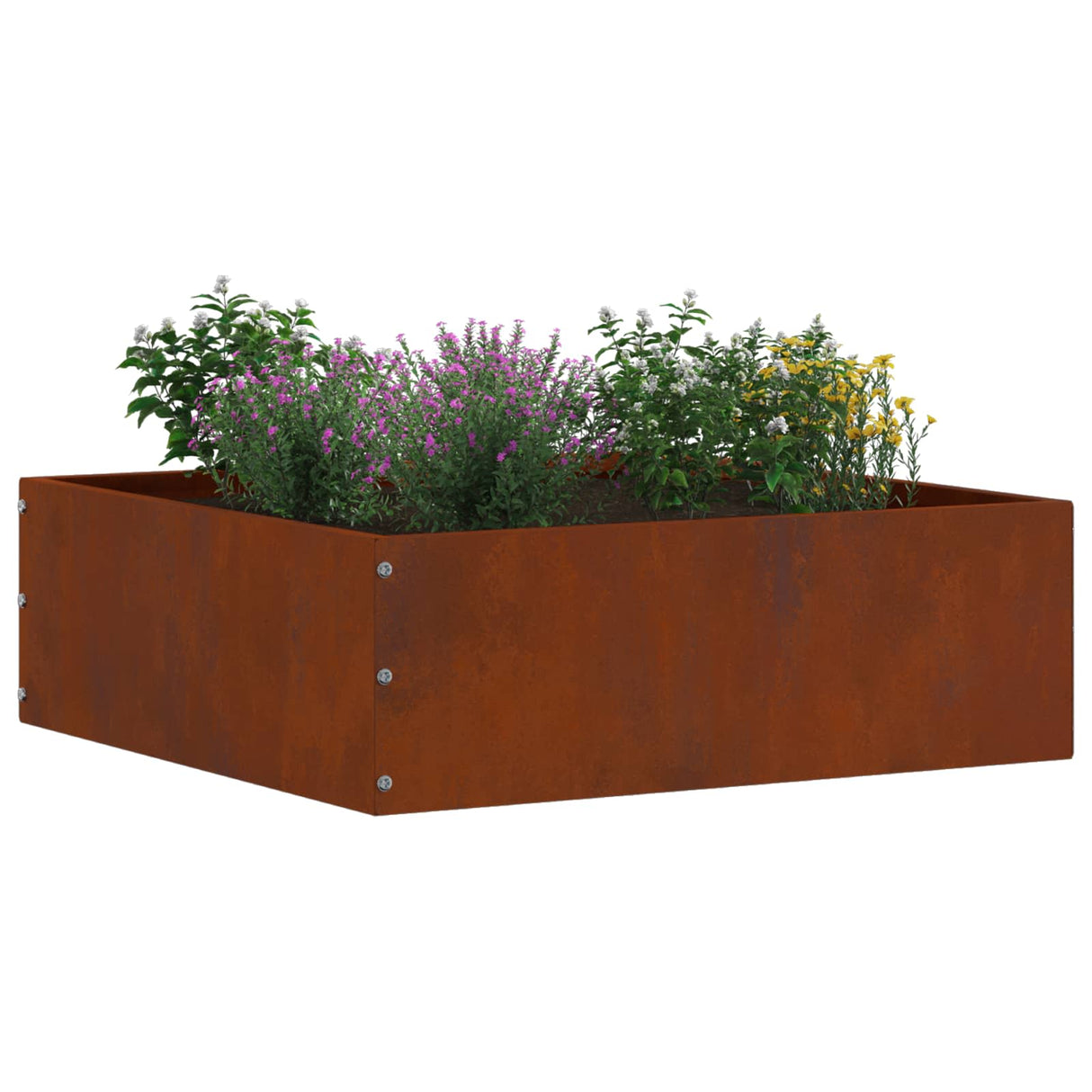 Vidaxl tuinrand roestig 40 x 40 x 13 cm cortenstaal
