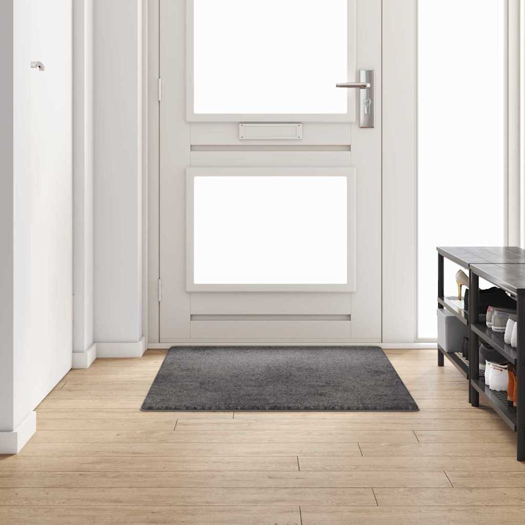Vidaxl tapijt loper grijs 100 x 150 cm 100% polypropylene tuft
