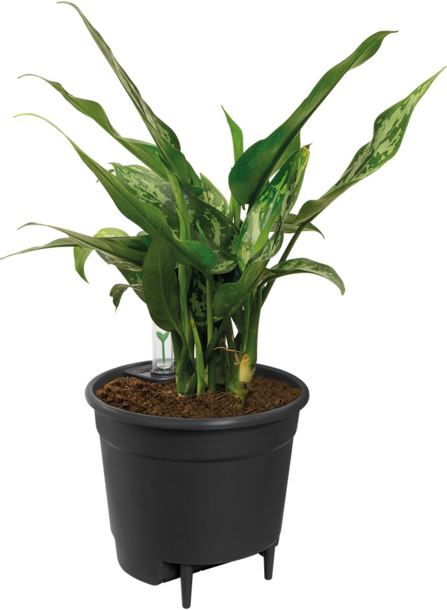 Elho self-watering insert 15 - watermeter voor bloempot - ø 14.9 x h 13.68 cm - living black
