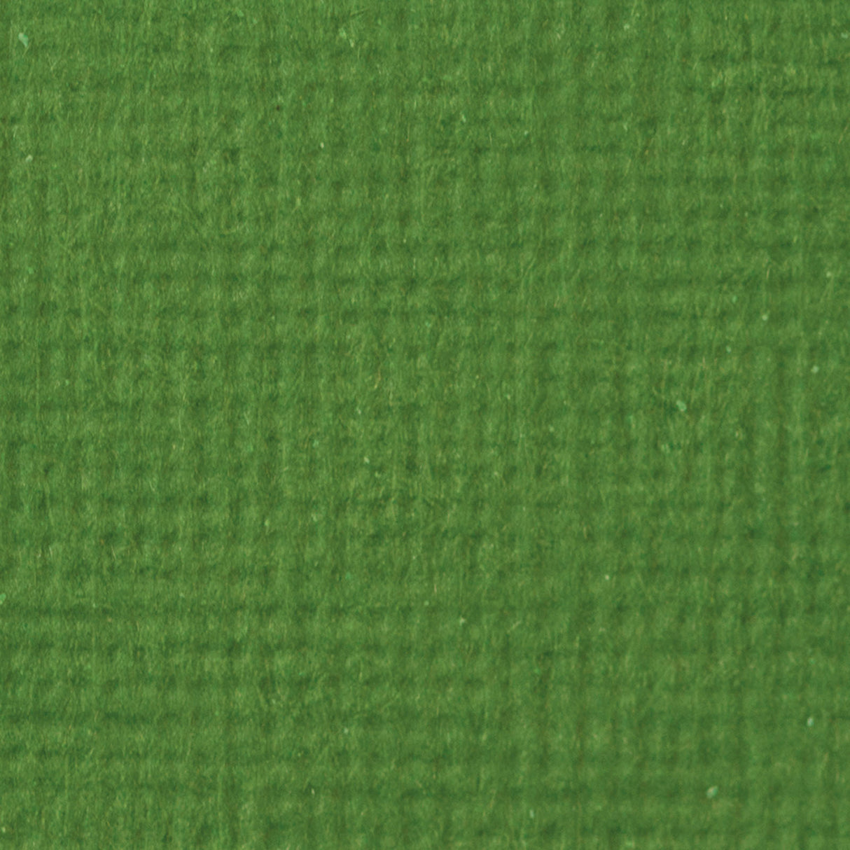 Craft perfect by tonic studios craft perfect • klassieke kaart 30,5x30,5cm 5 vellen fern green