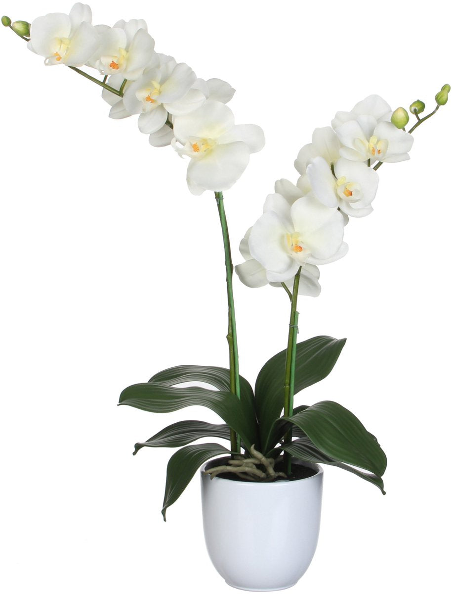 Mica decorations orchidee bloem kunstplant - parel wit - h66 x b38 cm