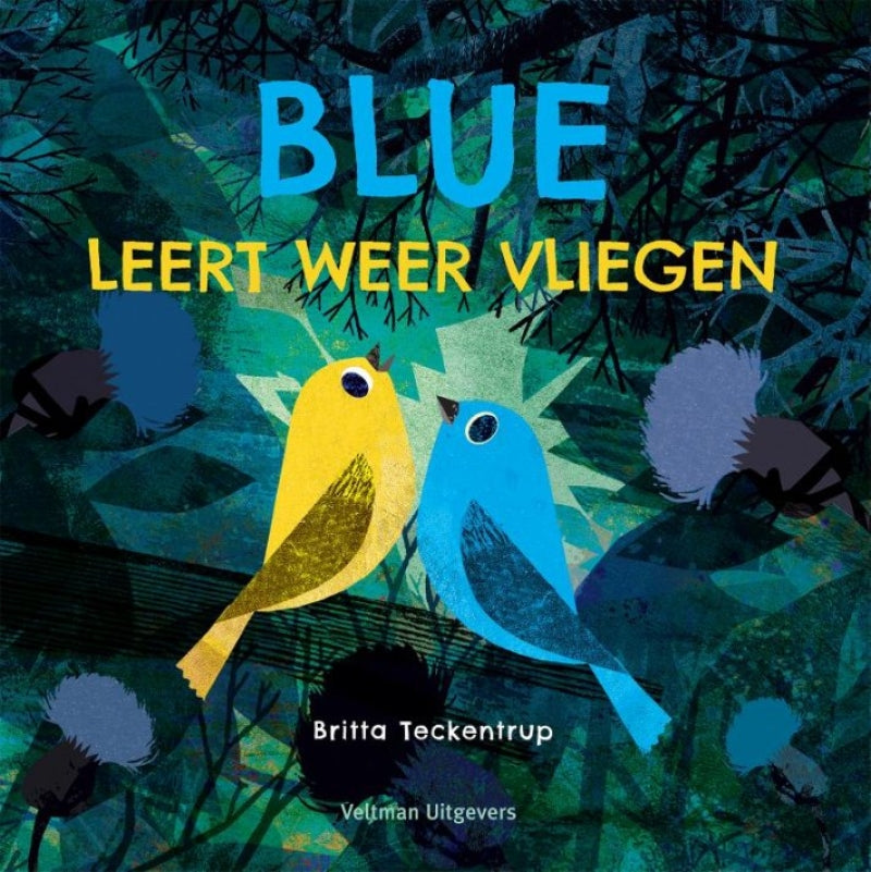 Veltman blue leert weer vliegen