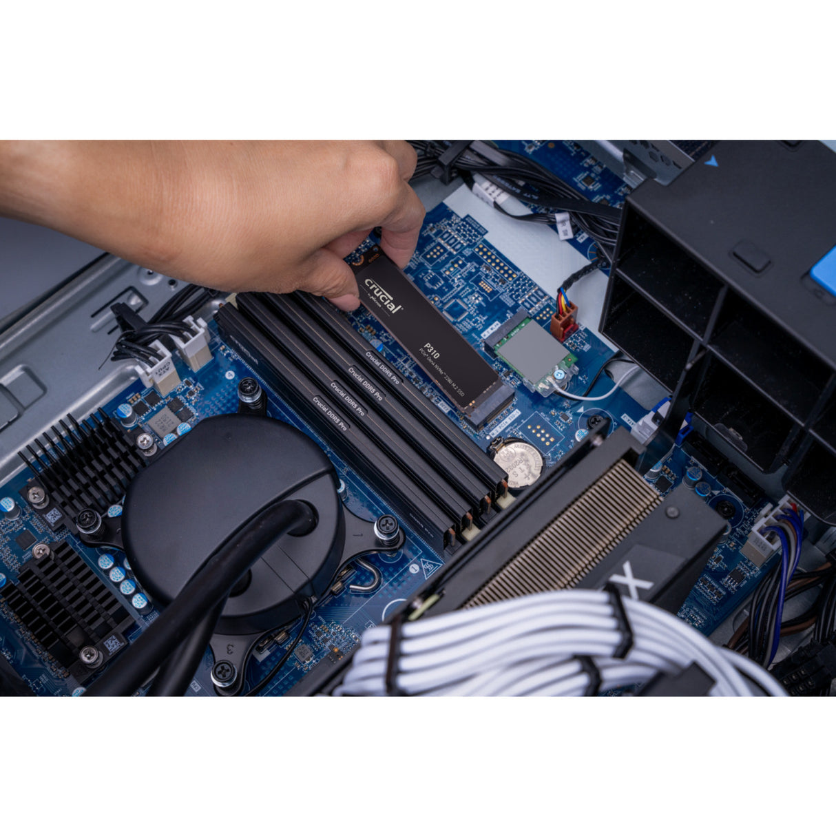 Crucial p310 500 gb ssd (zwart, ct500p310ssd8, pcie gen 4.0 x4, nvme 2.0)