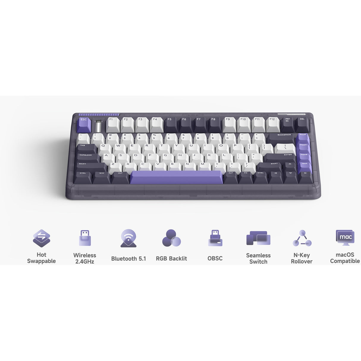 Iqunix og80 lavandin wireless mechanical keyboard (lavendel, us lay-out (qwerty), cherry mx brown, 80% (tkl), hot-swappable, pbt, 2.4ghz | bluetooth 5.1 | usb-c)