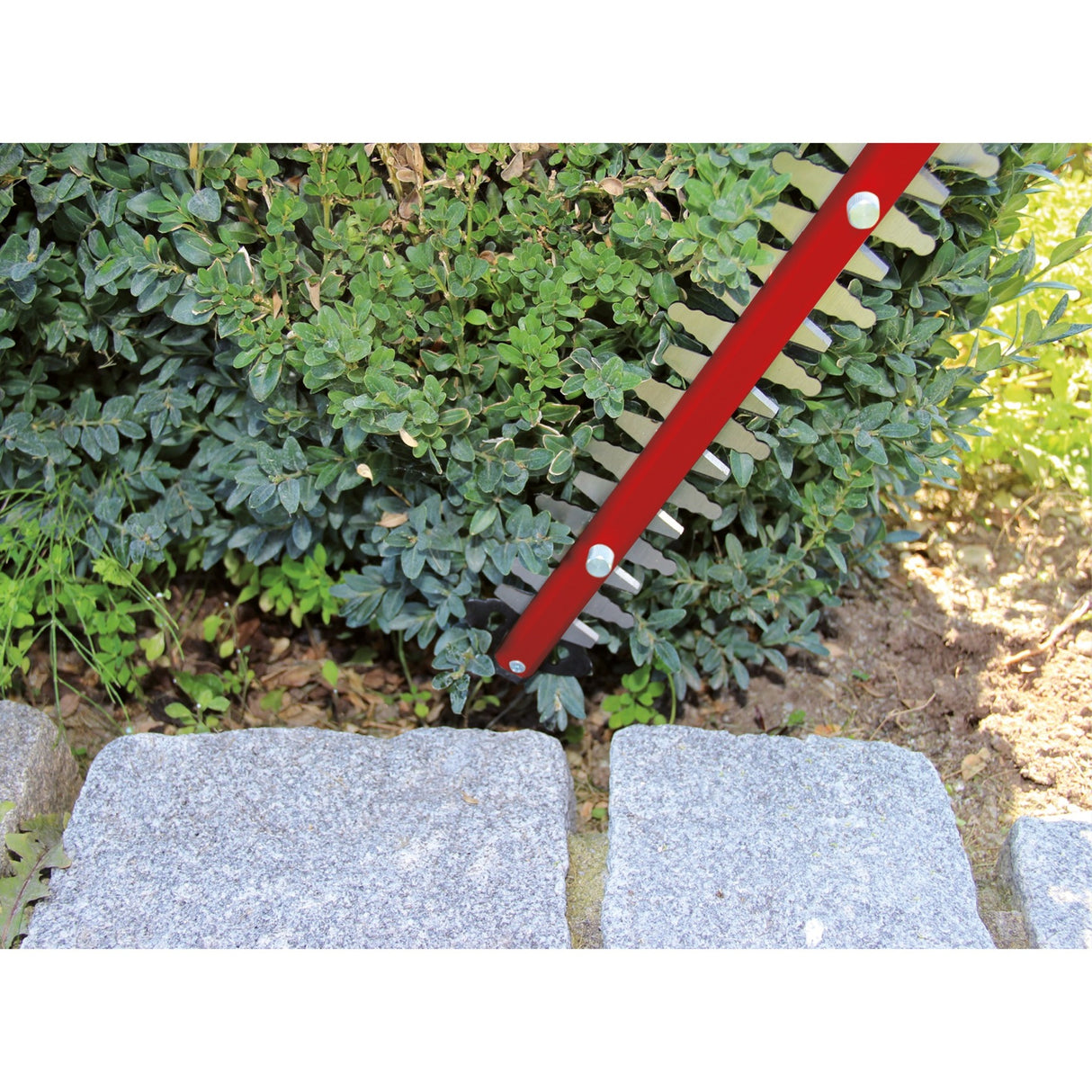 Einhell heggenschaar gc-eh 6055 1 (rood zwart, 600w)