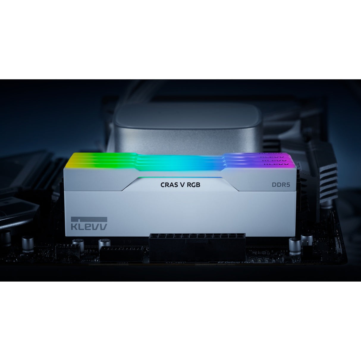 Klevv 32 gb ddr5-6000 (2x 16 gb) kit werkgeheugen (wit, kd5agu880-60a300j, cras v rgb, xmp 3.0, expo)