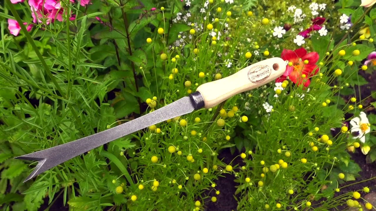 De wit producten paardenbloemsteker essen handvat 140mm dewit