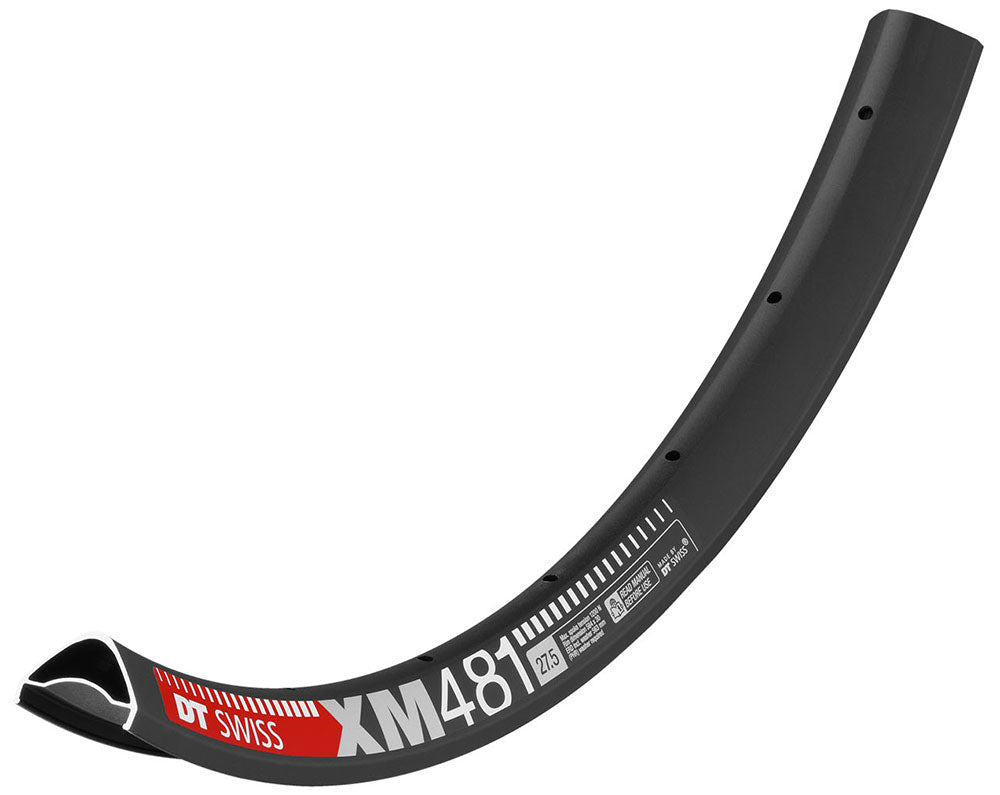 Dt swiss xm 481 disc rim 32 hole | 29