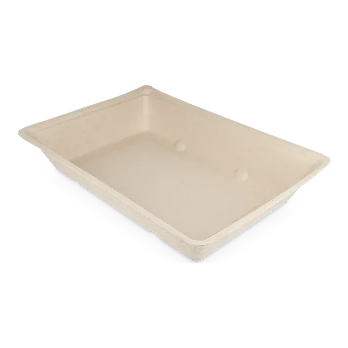 Takeaware snackbakje a50 bagasse pfas-vrij (500 stuks)