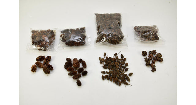 Zakje met natuurdeco 4 assortie